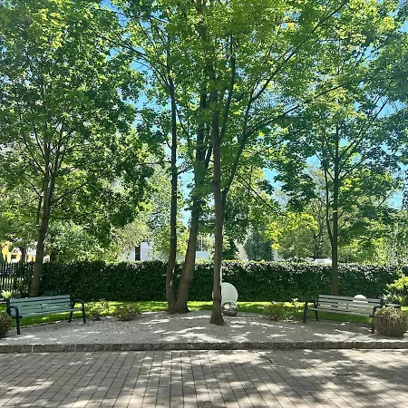 Appartamento Penthouse In Heart Of *
