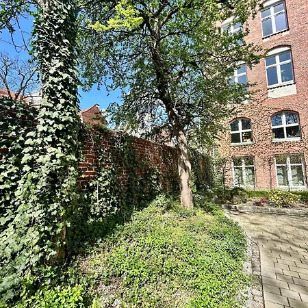 Penthouse In Heart Of * Breslavia